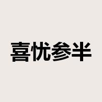喜忧参半是什么意思