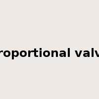 proportional valve是什么意思