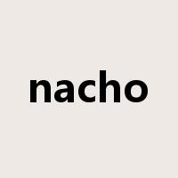 nacho是什么意思