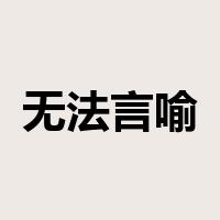 无法言喻是什么意思