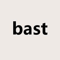 bast是什么意思