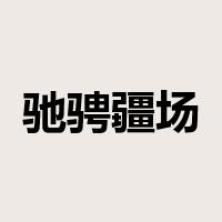 驰骋疆场是什么意思