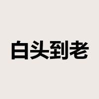 白头到老是什么意思
