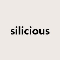 silicious是什么意思