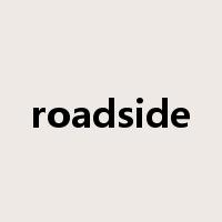 roadside是什么意思