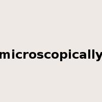 microscopically是什么意思