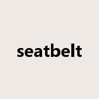 seatbelt是什么意思