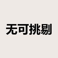 无可挑剔是什么意思