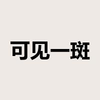 可见一斑是什么意思