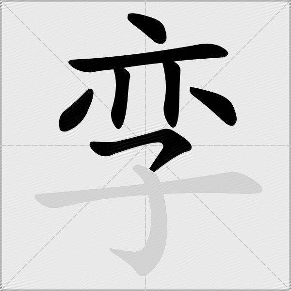孪