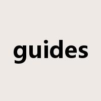 guides是什么意思