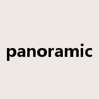 panoramic是什么意思