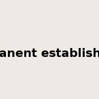 permanent establishment是什么意思