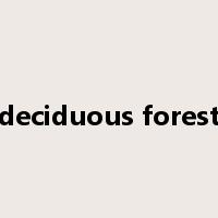 deciduous forest是什么意思