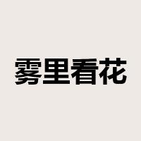 雾里看花是什么意思