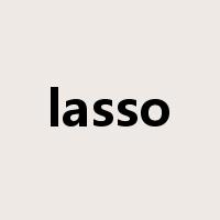 lasso是什么意思