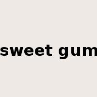 sweet gum是什么意思