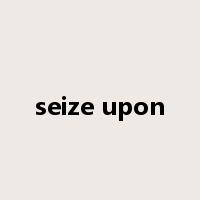 seize upon是什么意思