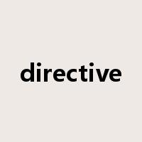 directive是什么意思