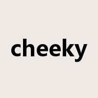 cheeky是什么意思