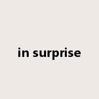 in surprise是什么意思