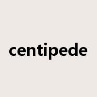 centipede是什么意思
