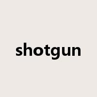 shotgun是什么意思