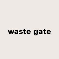 waste gate是什么意思
