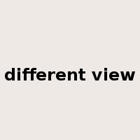 different view是什么意思