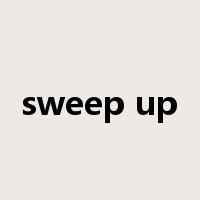 sweep up是什么意思