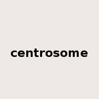 centrosome是什么意思
