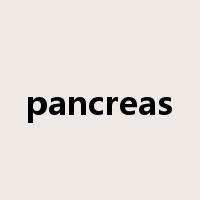 pancreas是什么意思