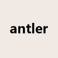 antler是什么意思