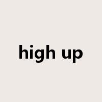 high up是什么意思