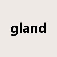 gland是什么意思