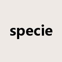 specie是什么意思