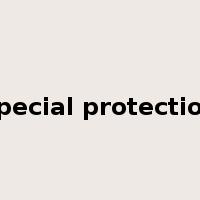 special protection是什么意思