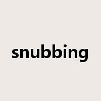 snubbing是什么意思