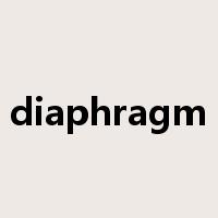 diaphragm是什么意思