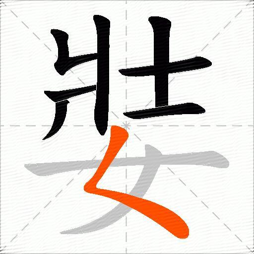 娤
