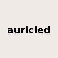 auricled是什么意思