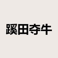 蹊田夺牛是什么意思