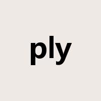ply是什么意思