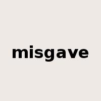 misgave是什么意思