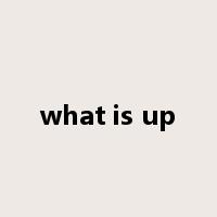 what is up是什么意思