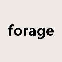 forage是什么意思