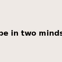 be in two minds是什么意思