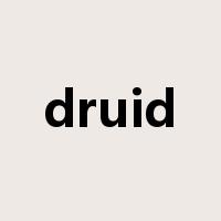 druid是什么意思