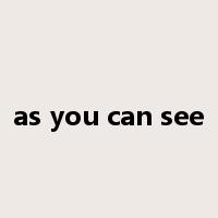as you can see是什么意思