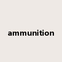 ammunition是什么意思